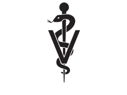Sash - Image 3