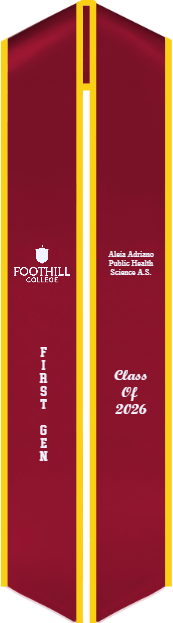 Sash - Image 2