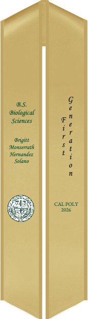 Sash