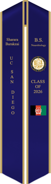 Sash