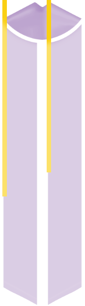 Sash - Image 2